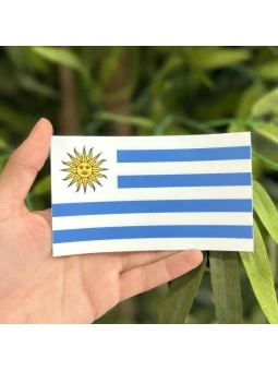 Pegatina PARACHOQUE BANDERA...