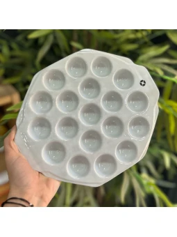 Provolonera 19 cavidades...